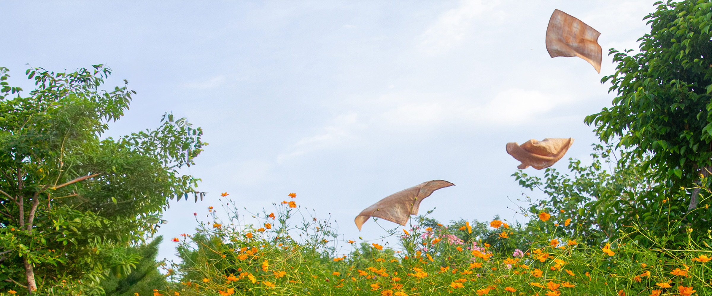 Tea-dyed fabric napkins flying above a garden of orange flowers
